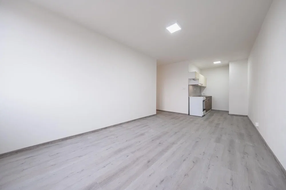 Wohnzimmer; holzboden, tageslicht