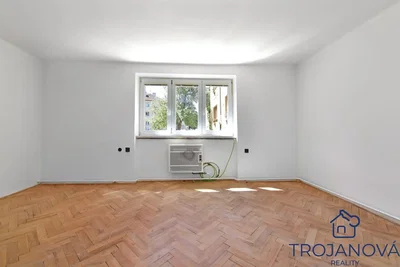 Ostatní; dřevěná podlaha, přirozené světlo
