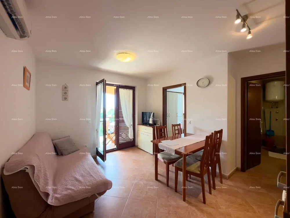 Living room; tile floor, natural light