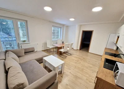 Wohnzimmer; holzboden, tageslicht, küchengeräte