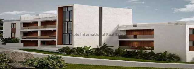 House and surroundings