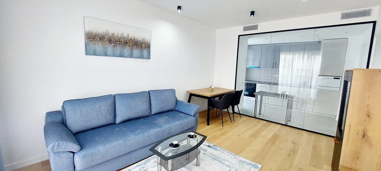 Living room; natural light, wood floor, modern style