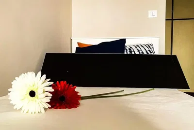 Dormitorio; luz natural, estilo moderno