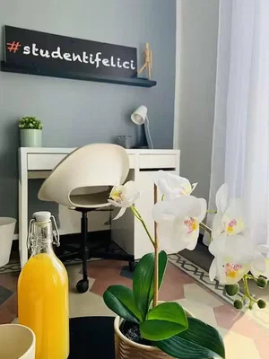 Dječja soba; prirodna svjetlost, moderan stil