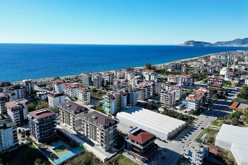 House and surroundings; view