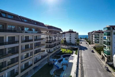 House and surroundings; view