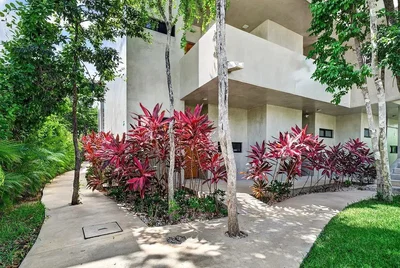House and surroundings; natural light, view