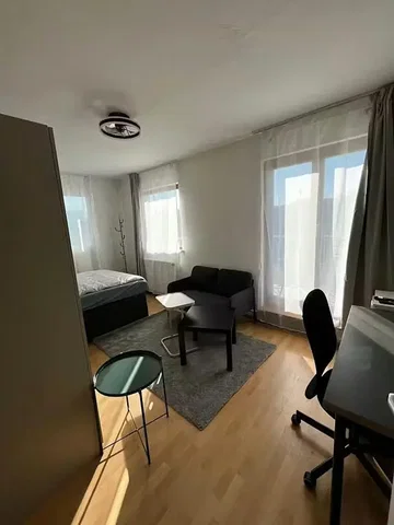 Bedroom; natural light, wood floor