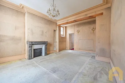 Dnevna soba; kamin, potrebna renovacija, visoki plafoni