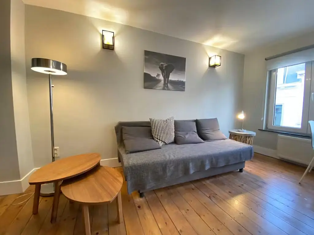 Soggiorno; pavimento in legno, luce naturale