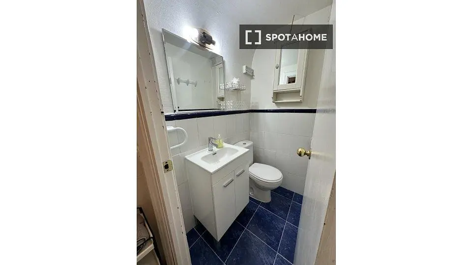Toilette; fliesenboden, tageslicht