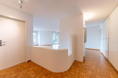 Ostatní; dřevěná podlaha, přirozené světlo
