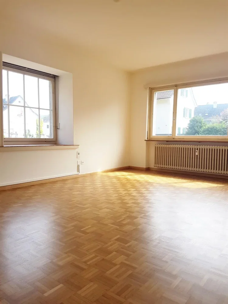 Salon; parquet, lumière naturelle, vue