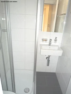 Salle de bain; carrelage, rénové, lumière naturelle
