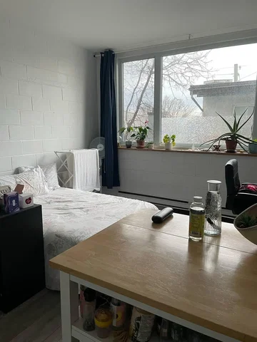 Bedroom; natural light, needs renovation