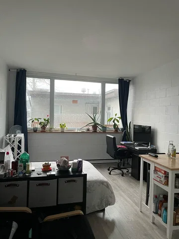 Bedroom; natural light, wood floor