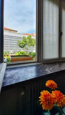 Diğer; manzara, doğal ışık