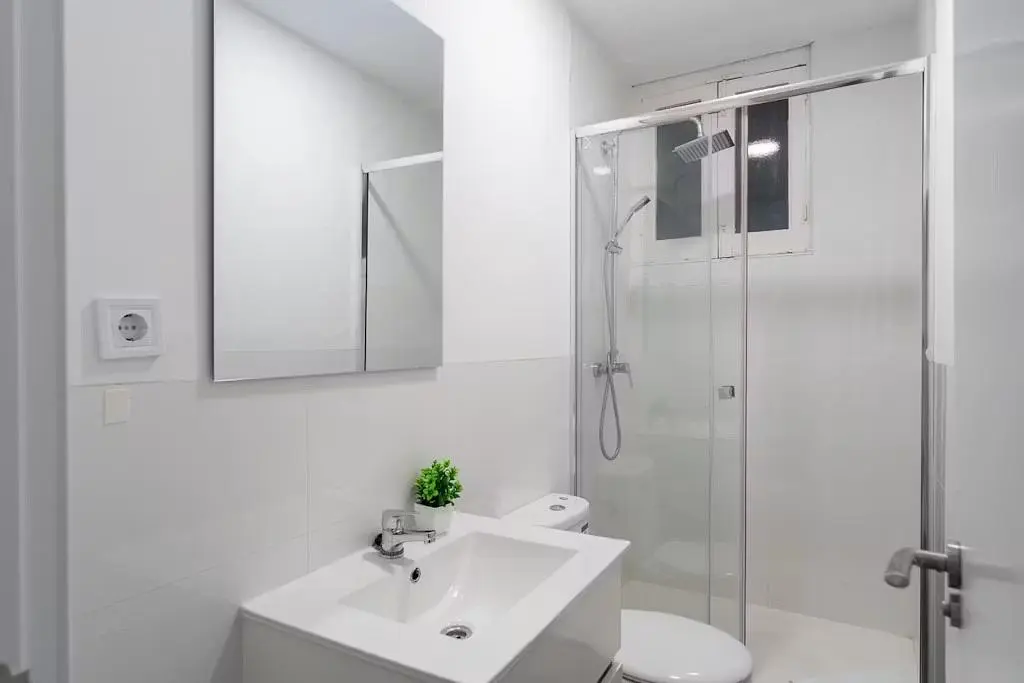Toilette; tageslicht, renoviert