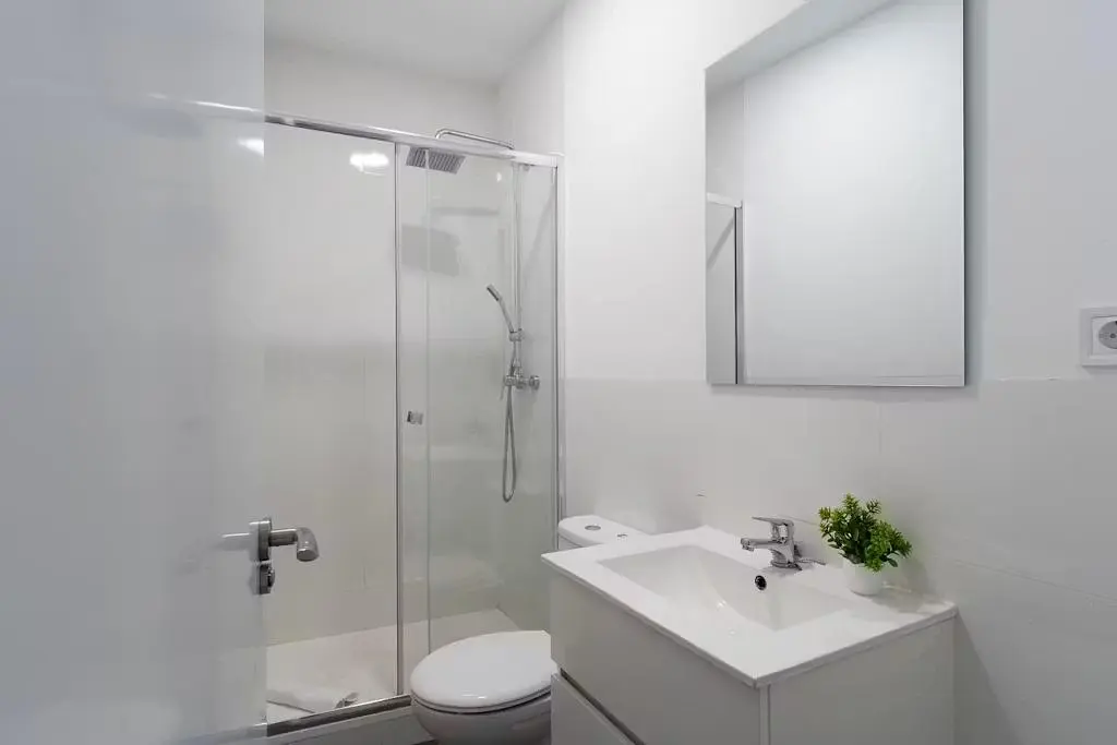 Toilette; tageslicht, renoviert
