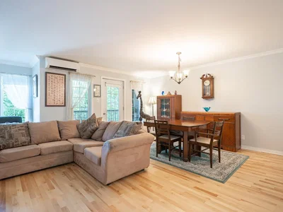 Living room; wood floor, natural light