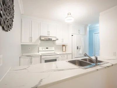 Kitchen; kitchen appliances, natural light, renovated, modern style