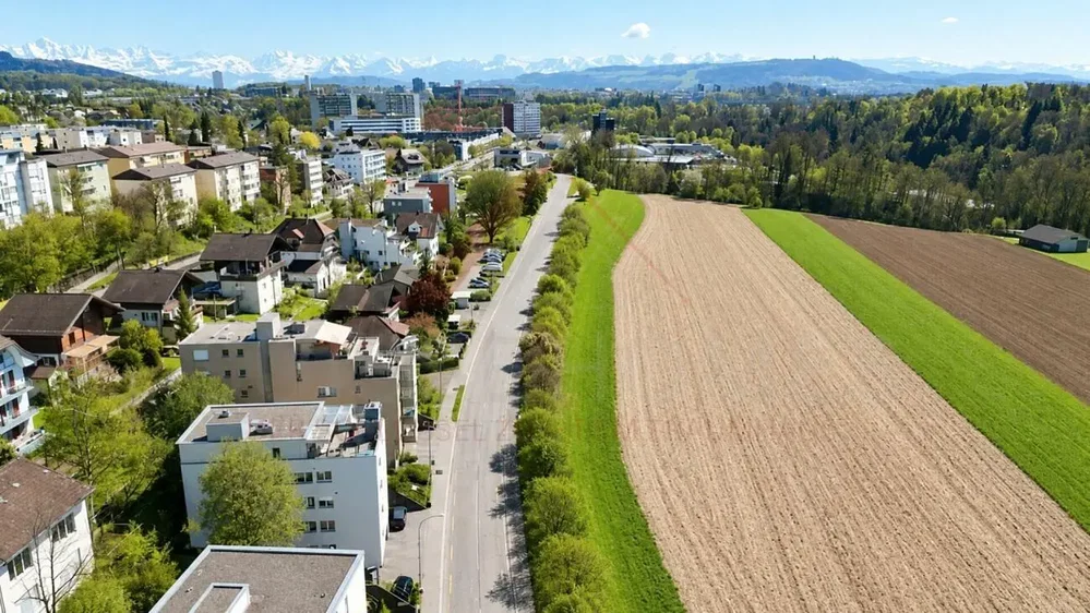 House and surroundings; view