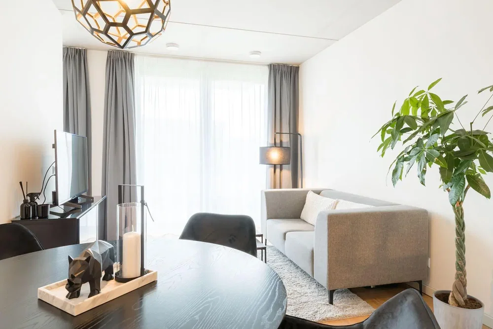 Salon; lumière naturelle, style moderne