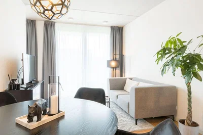 Salon; lumière naturelle, style moderne