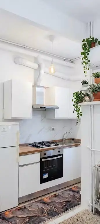 Küche; küchengeräte, tageslicht, moderner stil