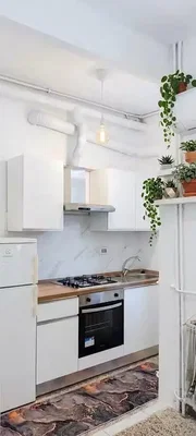 Küche; küchengeräte, tageslicht, moderner stil