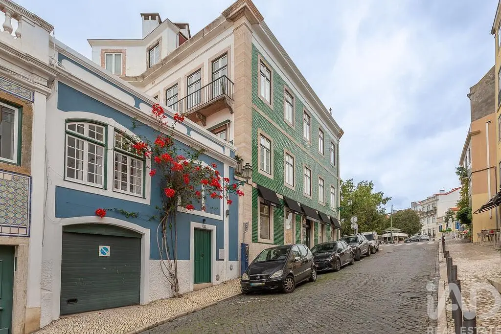 House and surroundings