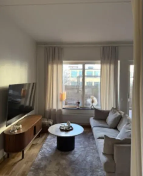 Salon; lumière naturelle, style moderne, parquet