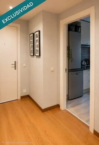 Other; wood floor, natural light