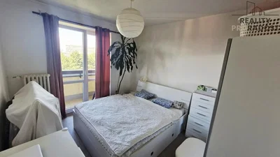 Bedroom; natural light, wood floor