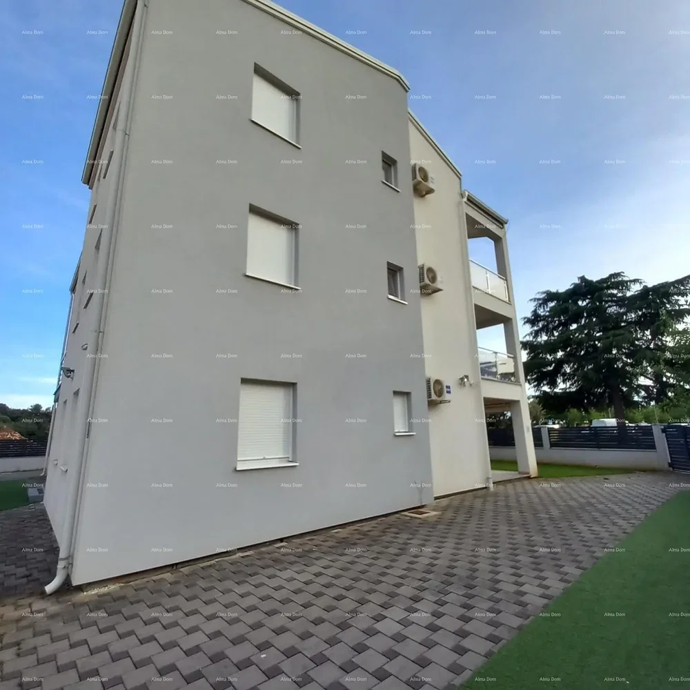 Ostatní