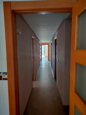 Diğer