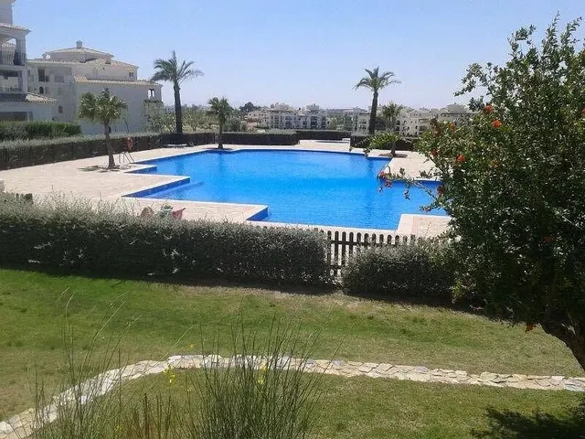 Diğer