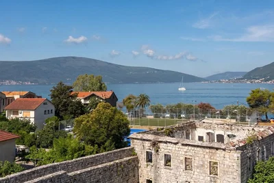 Diğer
