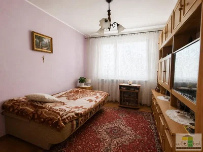 Ostatní