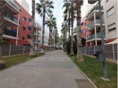 Diğer