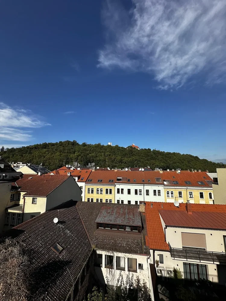 Ostatní