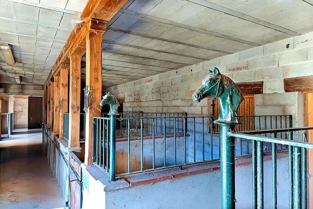 Salón