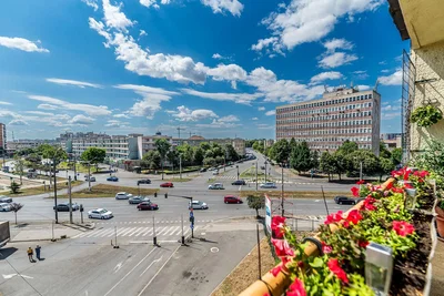 Dnevni boravak