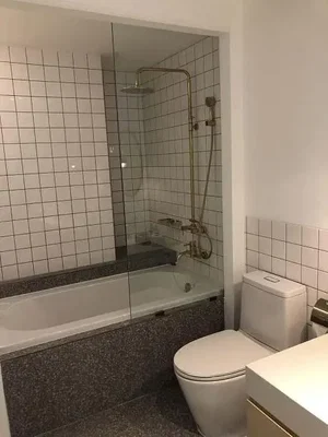 Diğer