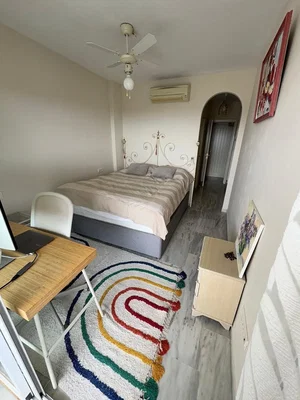 Diğer