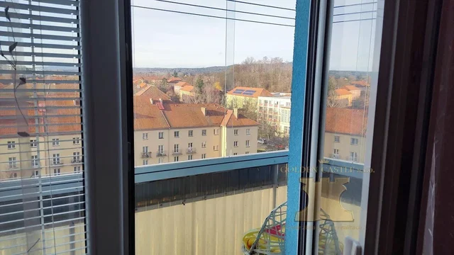 Ostatní