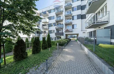Ostatní