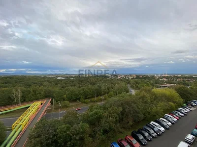 Ostatní