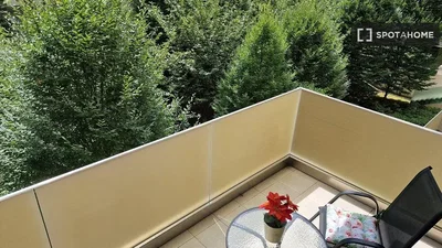 Хол