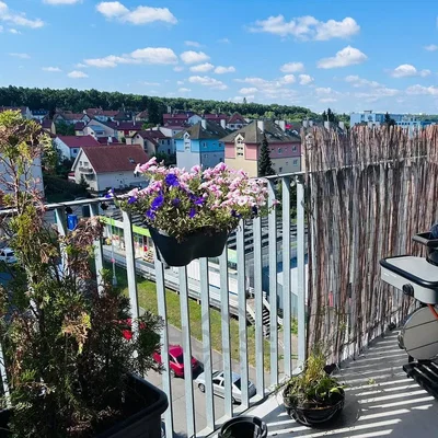 Ostatní